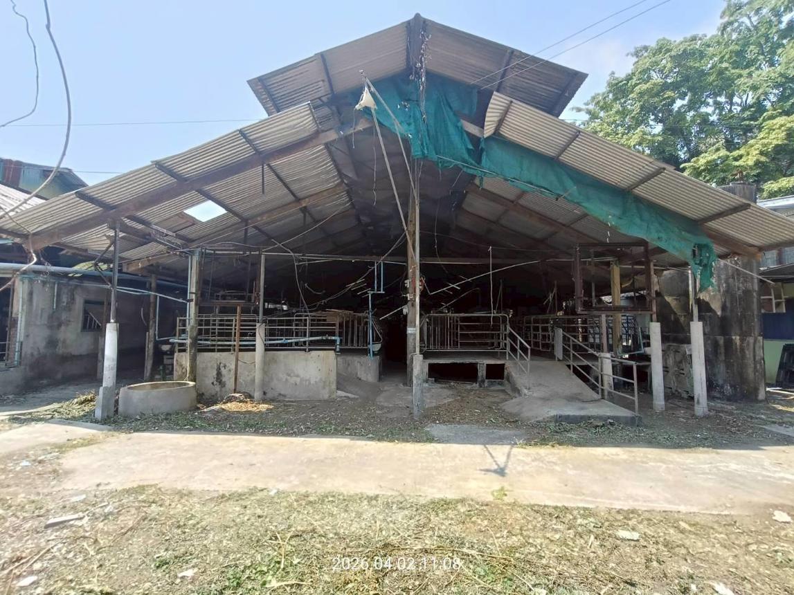 รูป ฟาร์ม 6600 ตร.วา เมืองปราจีนบุรี ปราจีนบุรี 8.8M - รูปที่ 56/89