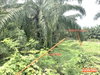 listing thumbnail image 14
