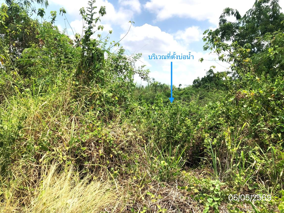 picture LAND 1271.2 Sq.w. Sawankhalok Sukhothai for 4.2M - 15/21
