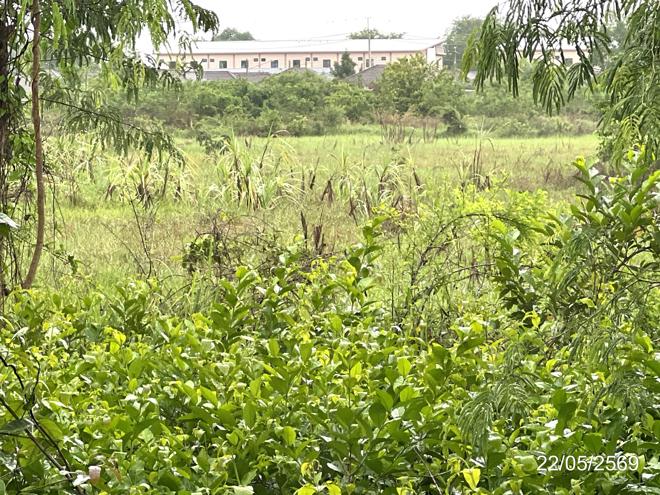 รูป ที่ดินว่างเปล่า 5164 ตร.วา วัฒนานคร สระแก้ว 8.5M - รูปที่ 5/13