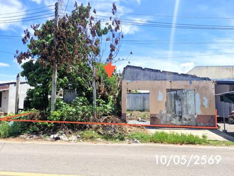 รูป ที่ดินว่างเปล่า 86.1 ตร.วา เมืองตรัง ตรัง 3.1M - รูปที่ 8/11