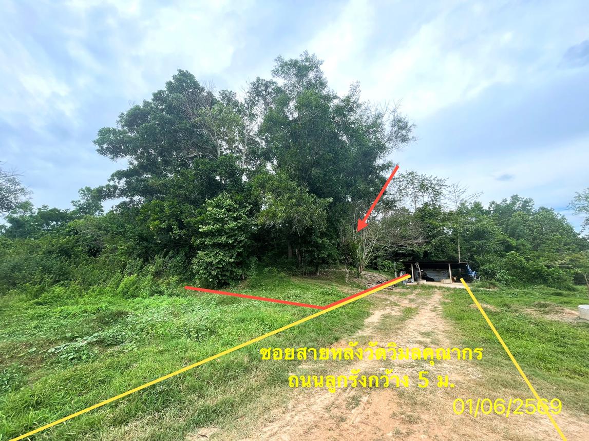 picture LAND 358.5 Sq.w. Hat Yai Songkhla for 2.1M - 20/25