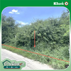 listing thumbnail image 14