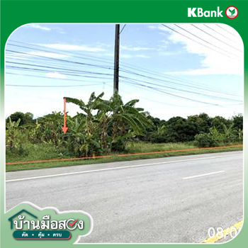 รูป ที่ดินว่างเปล่า 293.3 ตร.วา ขุนตาล เชียงราย 2.3M - รูปที่ 13/15