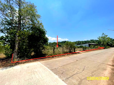 ที่ดิน ตรัง : ที่ดินว่างเปล่า 179.2 ตร.วา กันตัง ตรัง 1.5M