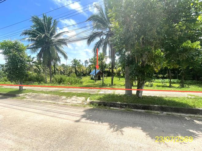 รูป บ้านเดี่ยว 1144.6 ตร.วา กันตัง ตรัง 4.4M - รูปที่ 1/25