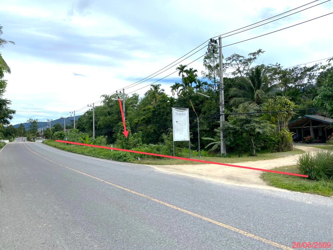 รูป ที่ดินว่างเปล่า 320 ตร.วา กงหรา พัทลุง 2.7M - รูปที่ 11/19