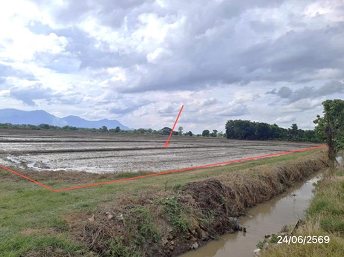 picture LAND 5450 Sq.w. Mae Chan Chiang Rai for 2.6M - 11/19