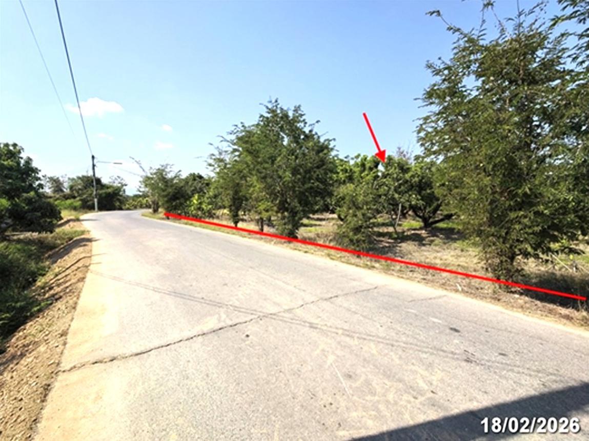 picture LAND 756 Sq.w. San Pa Tong Chiang Mai for 1.1M - 8/17