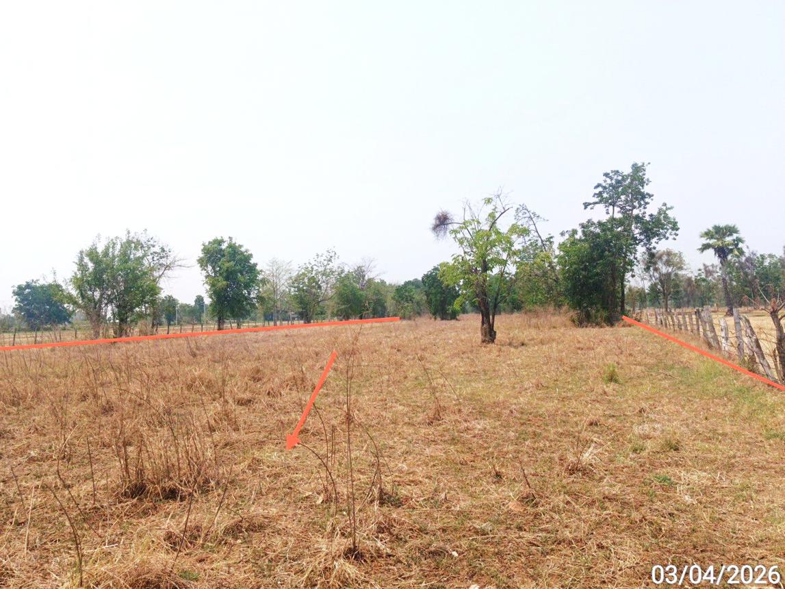 picture LAND 7153 Sq.w. Ban Dan Lan Hoi Sukhothai for 3.6M - 9/15