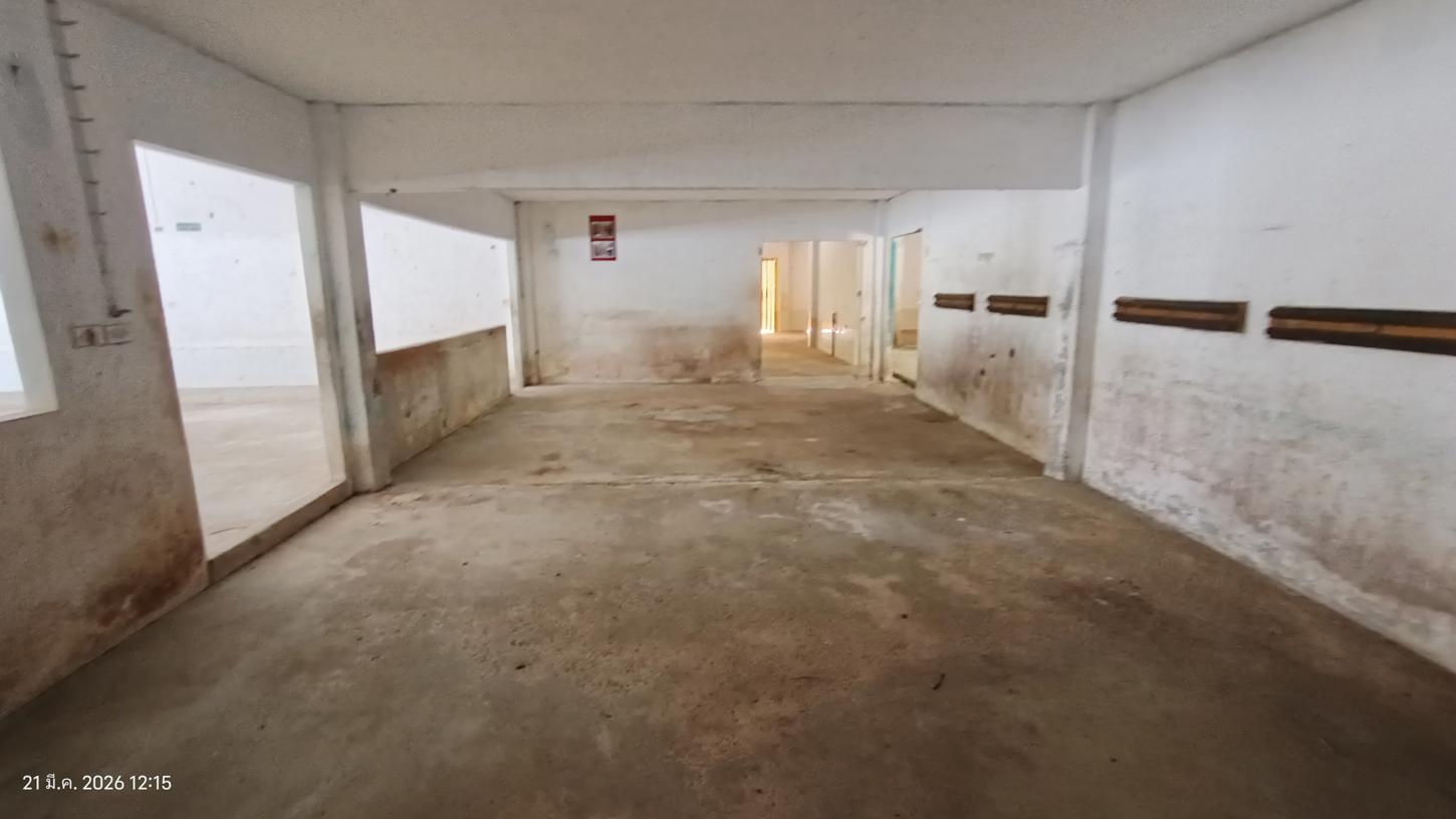 picture FACTORY 1301.5 Sq.w. Pak Phayun Phatthalung for 4M - 33/41