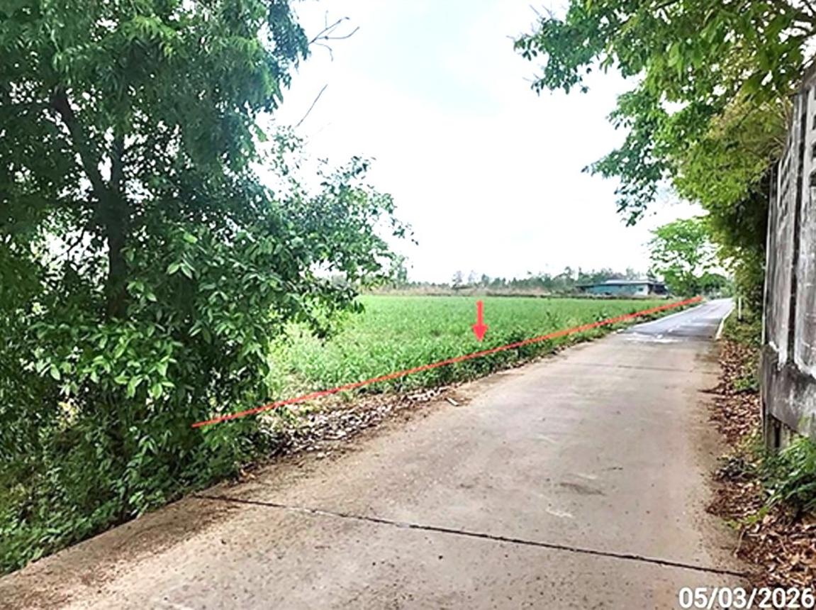 picture LAND 5154 Sq.w. Phon Thong Roi Et for 3.9M - 11/19