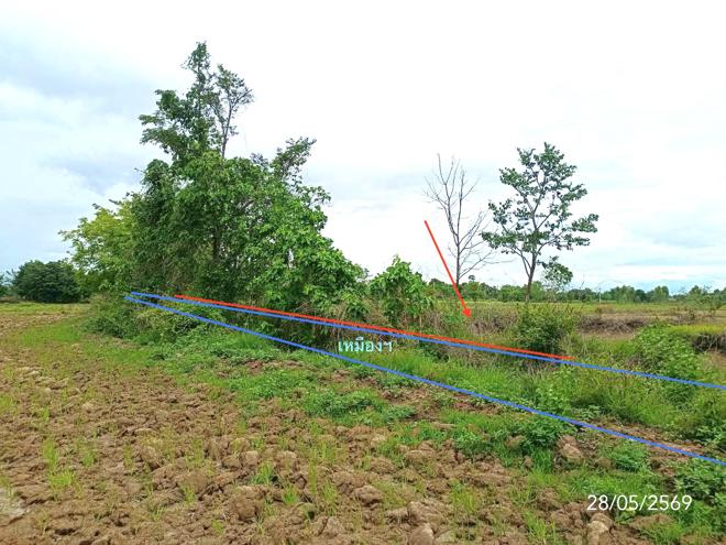 รูป ที่ดินว่างเปล่า 1292.7 ตร.วา เมืองพะเยา พะเยา 860,000 - รูปที่ 4/13