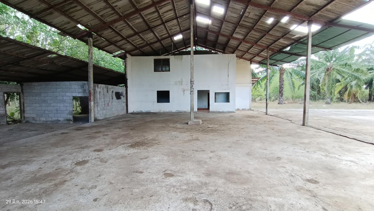 picture FACTORY 1620.3 Sq.w. Huai Yot Trang for 4.8M - 22/35