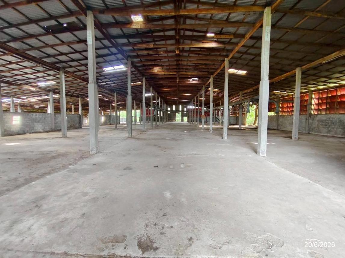 รูป โกดัง 3472 ตร.วา เมืองหนองบัวลำภู หนองบัวลำภู 22.5M - รูปที่ 17/31