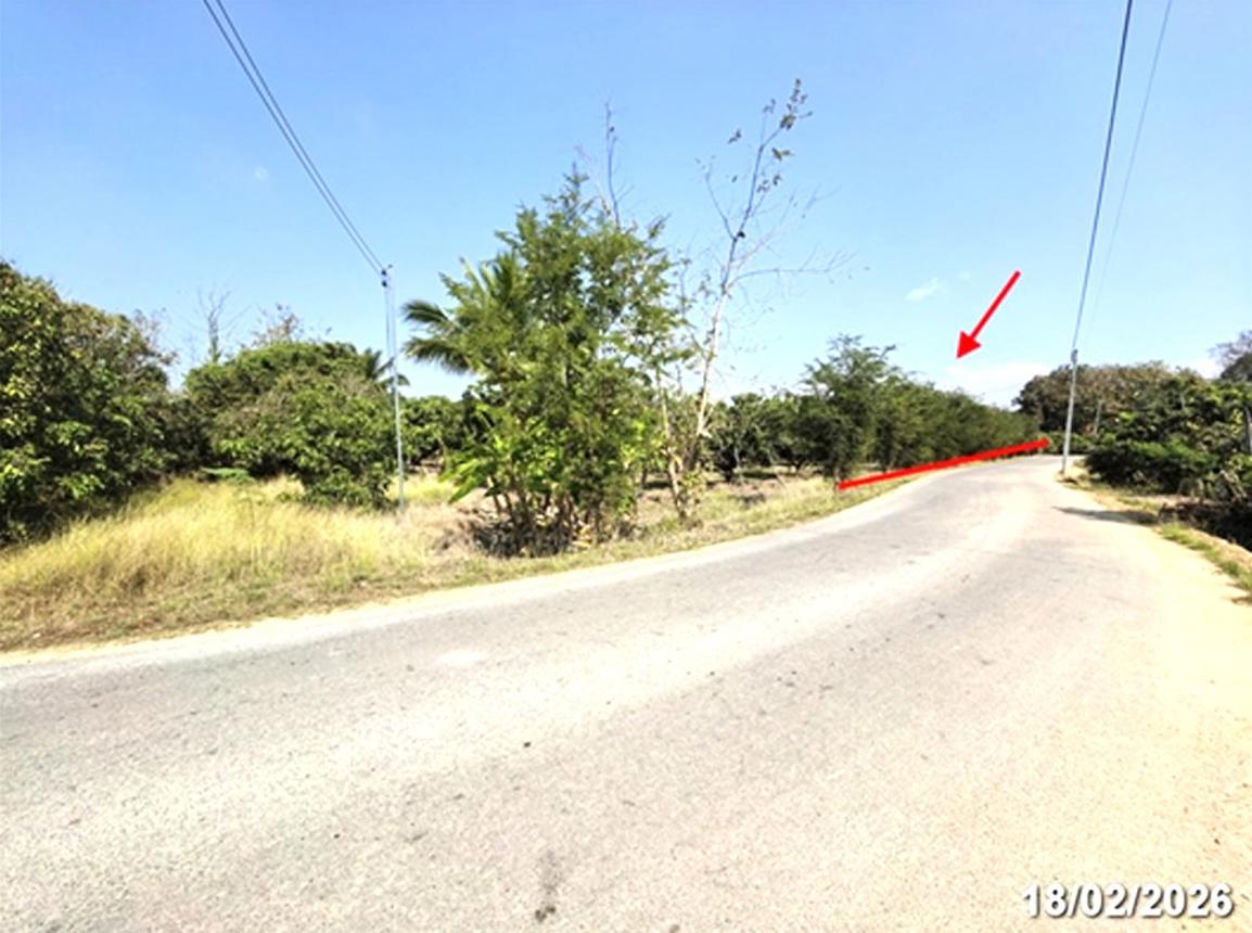 picture LAND 756 Sq.w. San Pa Tong Chiang Mai for 1.1M - 12/17