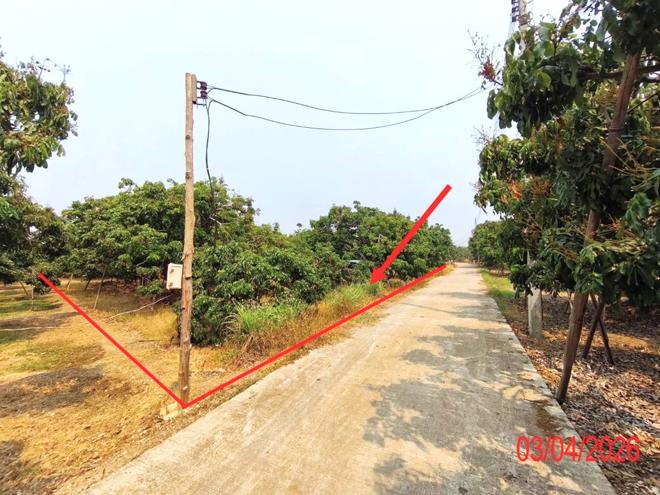 รูป ที่ดินว่างเปล่า 1038 ตร.วา เวียงหนองล่อง ลำพูน 1.2M - รูปที่ 2/17