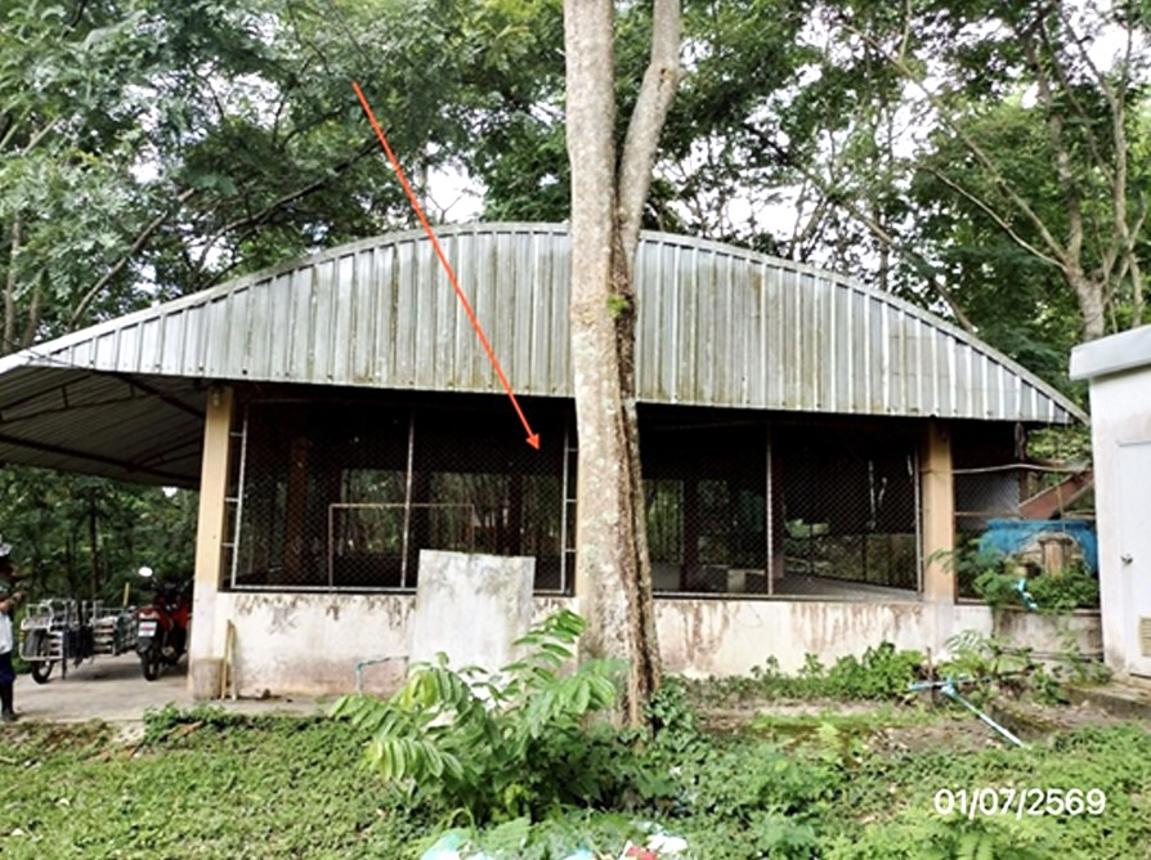 รูป บ้านเดี่ยว 3291 ตร.วา แม่สาย เชียงราย 12.5M - รูปที่ 32/45