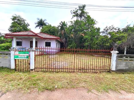 รูป บ้านเดี่ยว 176 ตร.วา ศรีบุญเรือง หนองบัวลำภู 1.6M - รูปที่ 28/31