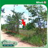 listing thumbnail image 12