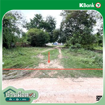 รูป ที่ดินว่างเปล่า 200 ตร.วา หนองกุงศรี กาฬสินธุ์ 2.4M - รูปที่ 19/21