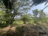 listing thumbnail image 28