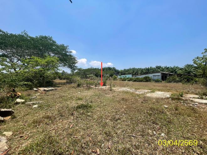 picture LAND 179.2 Sq.w. Kantrang Trang for 1.5M - 7/25