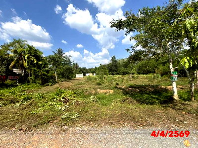 สำนักงาน นครศรีธรรมราช : อาคารสำนักงาน 1193.8 ตร.วา ทุ่งสง นครศรีธรรมราช 854,000