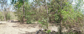 picture PROPERTY 21178 Sq.w. Watthana Nakhon Srakaeo for 81.5M - 7/20