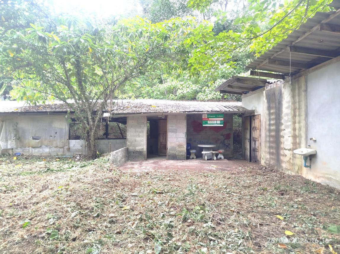 รูป บ้านเดี่ยว 4455.3 ตร.วา ตะกั่วทุ่ง พังงา 4.4M - รูปที่ 19/37