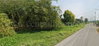 listing thumbnail image 7