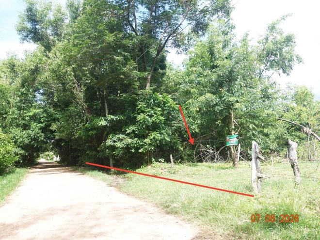 รูป บ้านเดี่ยว 1039 ตร.วา ชุมพวง นครราชสีมา 1M - รูปที่ 15/33