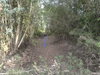 listing thumbnail image 12
