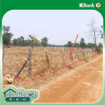 picture LAND 7153 Sq.w. Ban Dan Lan Hoi Sukhothai for 3.6M - 13/15