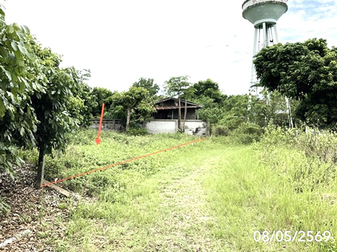 รูป ที่ดินว่างเปล่า 293.3 ตร.วา ขุนตาล เชียงราย 2.3M - รูปที่ 9/15