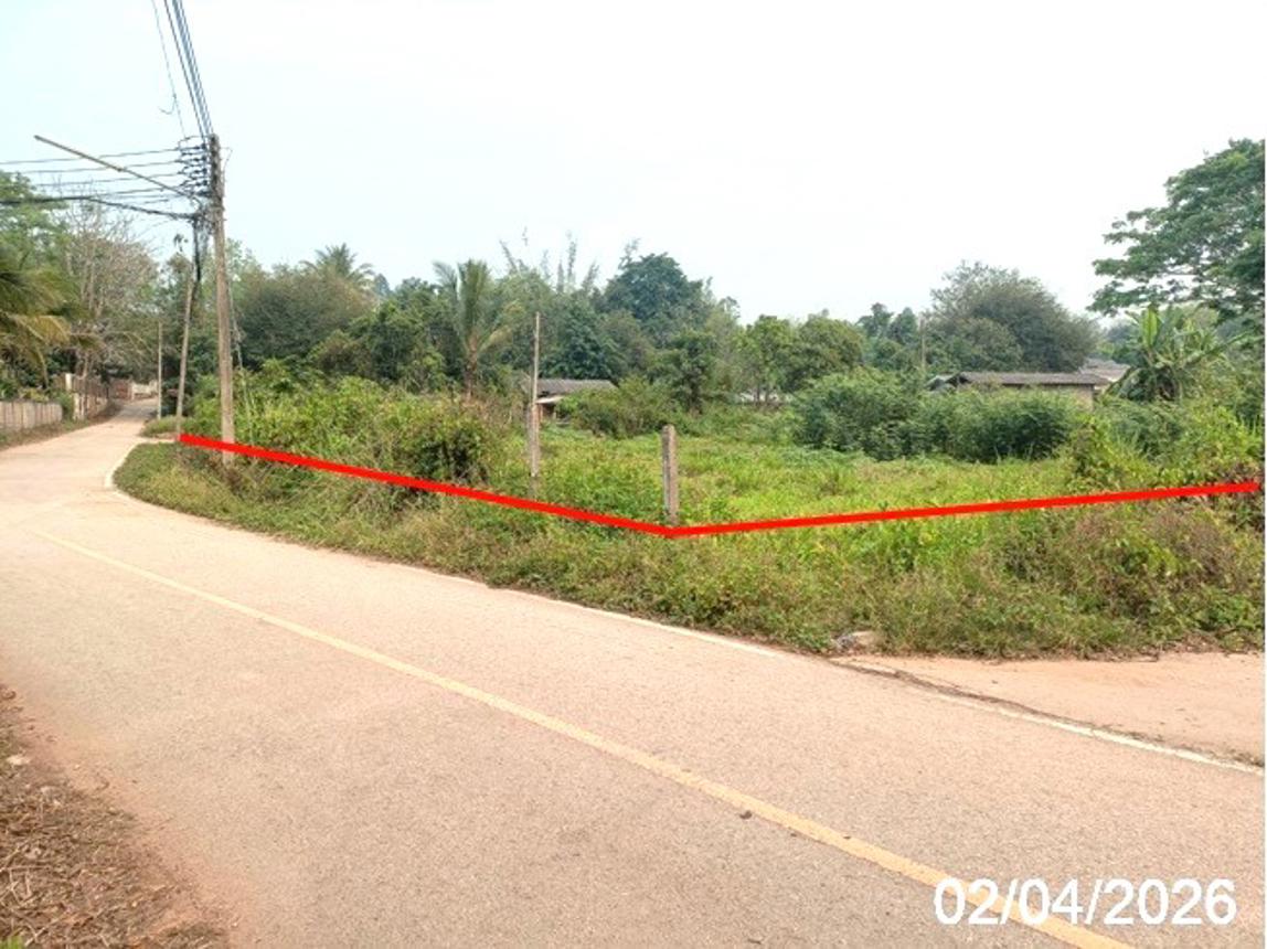 picture LAND 426.4 Sq.w. Fang Chiang Mai for 955,000 - 9/19