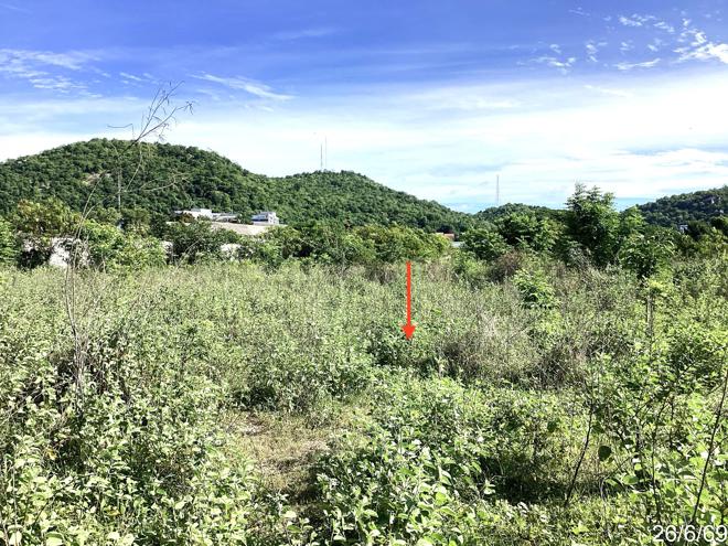 picture LAND 2094.9 Sq.w. Hua Hin Prachaubkirikhan for 50.3M - 11/25