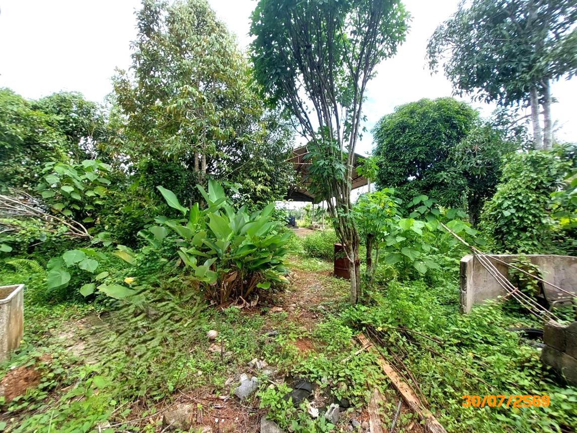 รูป โกดัง 622.6 ตร.วา เมืองสุราษฎร์ธานี สุราษฎร์ธานี 2.7M - รูปที่ 20/25