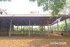 listing thumbnail image 38