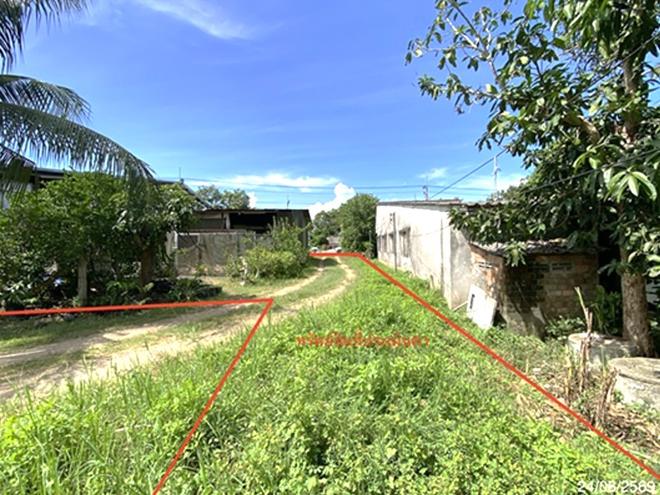 picture LAND 727.8 Sq.w. Rattaphum Songkhla for 8M - 7/21