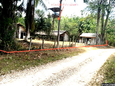 Land for sale Pa Bon Phatthalung : LAND 1709.6 Sq.w. Pa Bon Phatthalung for 2.5M
