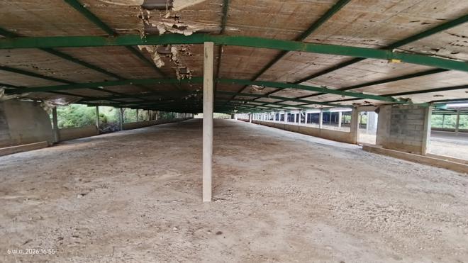 รูป ฟาร์ม 3464 ตร.วา สทิงพระ สงขลา 6.9M - รูปที่ 12/41
