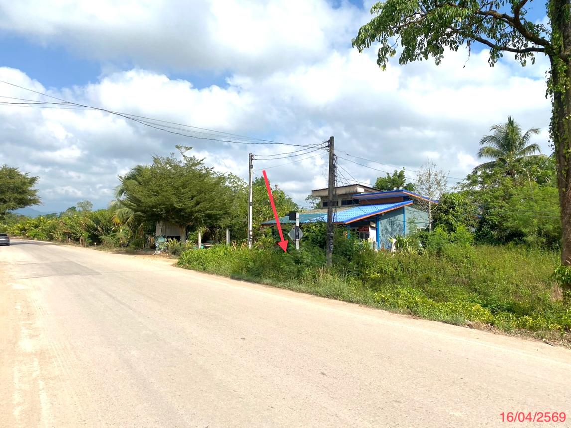 รูป ที่ดินว่างเปล่า 83 ตร.วา ป่าบอน พัทลุง 388,000 - รูปที่ 8/15