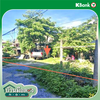 listing thumbnail image 10