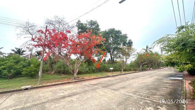 picture LAND 225 Sq.w. Nakhon Chai Sri Nakhon Pathom for 3.3M - 4/21