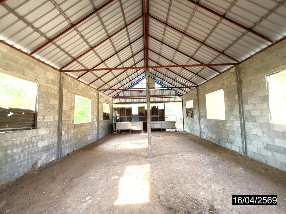 รูป บ้านเดี่ยว 442 ตร.วา ยางตลาด กาฬสินธุ์ 1.2M - รูปที่ 13/25