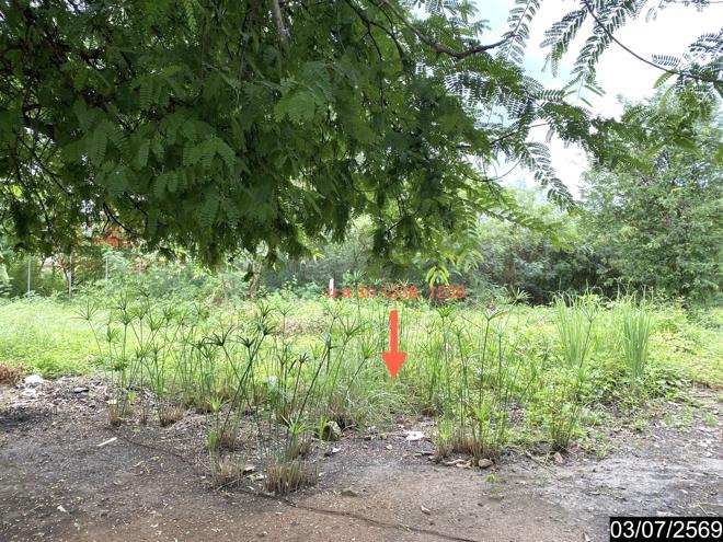 รูป เพิงอเนกประสงค์ 2059 ตร.วา นากลาง หนองบัวลำภู 10.8M - รูปที่ 7/41
