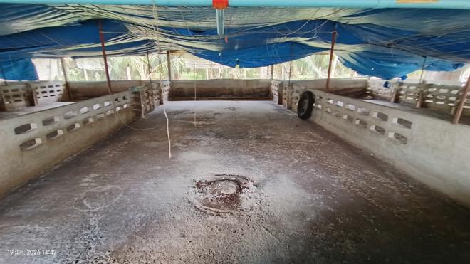 รูป ฟาร์ม 1603 ตร.วา เมืองพัทลุง พัทลุง 5.7M - รูปที่ 14/43