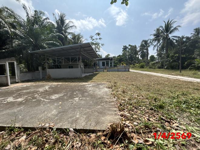 รูป เพิงอเนกประสงค์ 174 ตร.วา ขนอม นครศรีธรรมราช 947,000 - รูปที่ 7/21