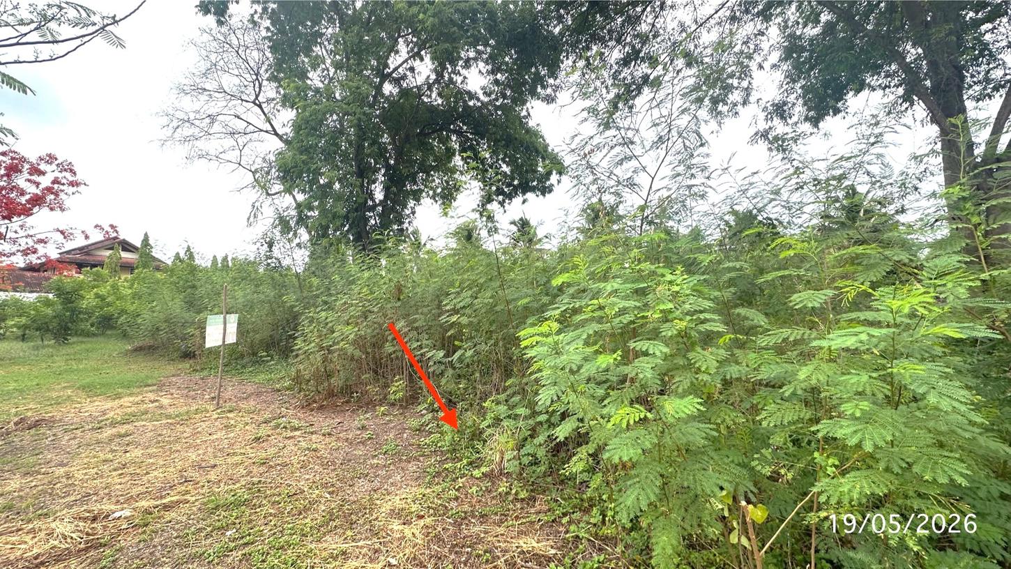 picture LAND 225 Sq.w. Nakhon Chai Sri Nakhon Pathom for 3.3M - 17/21